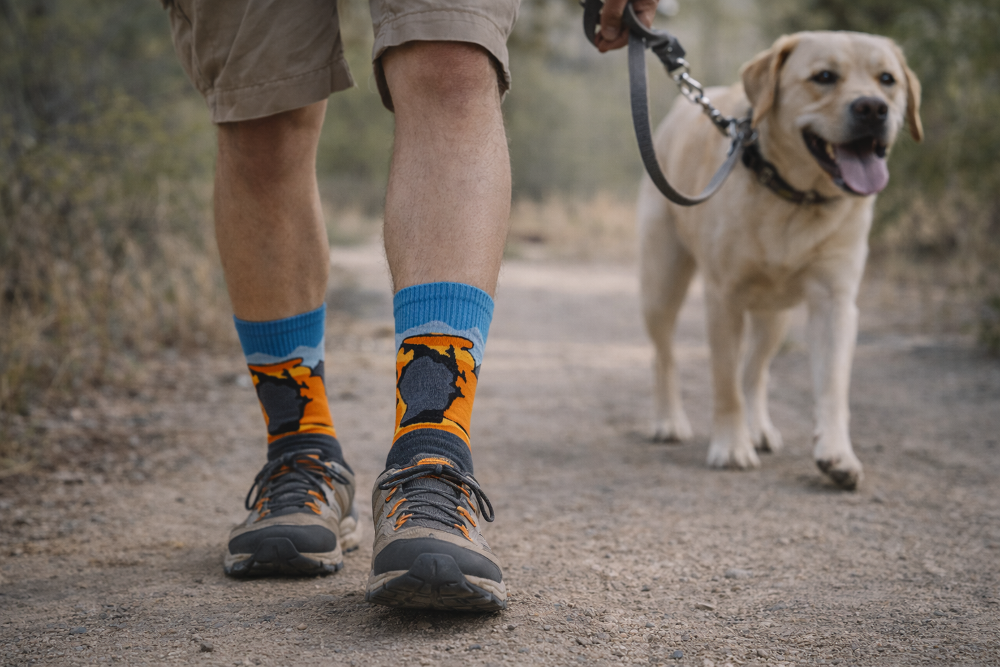 Delicate Arch Merino Wool Socks